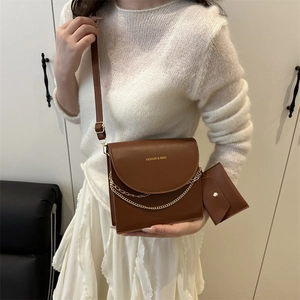Brown minimalist crossbody bag with gold chain and matching small coin purse for women