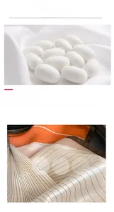Detailed view of genuine mulberry silk fabric texture with white silkworm cocoons