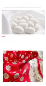 Détail macro d'un foulard en soie de mûrier rouge avec motifs paisley et cocons de soie naturels