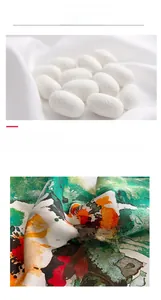 Detailed view of raw white silk cocoons and soft printed mulberry silk fabric texture