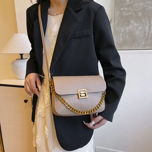 Taupe textured leather crossbody bag with gold chain strap and G-logo clasp