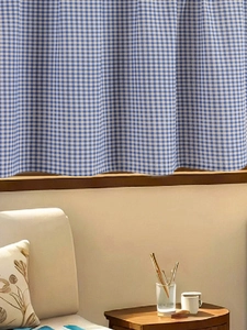 Detailed view of blue and white checkered fabric curtain hanging in a cozy home setting