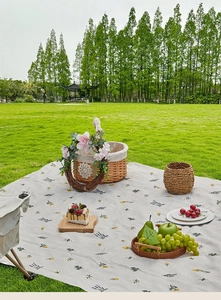Detail of floral picnic mat with a woven basket and fruit on a green park lawn