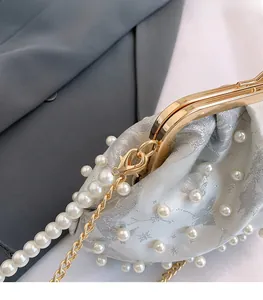 Detail of silver embroidered bag with pearls and golden metal clasp on gray fabric
