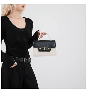 Detail of trendy bicolored crossbody bag featuring premium gold buckle and leather handle