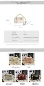 Detail view of small chain box bag showing 18x12x8cm dimensions and five color variants