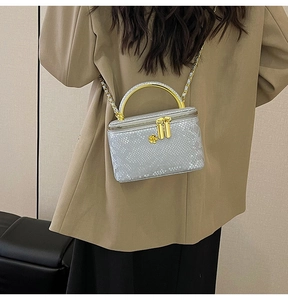 Silver snakeskin vanity bag with gold handle shown worn by a model from the back