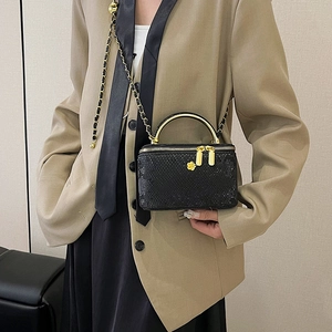 Black snake pattern vanity bag with gold handle and chain strap for crossbody wear