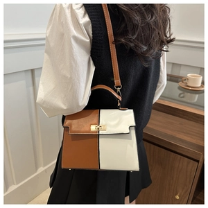 Detail of color-block Kelly bag with gold twist lock and adjustable shoulder strap