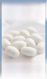 Detailed view of natural mulberry silk cocoons on soft white elegant pleated silk fabric