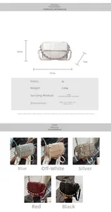 Detailed dimension guide and color options for the woven chain shoulder bag