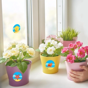 Détail d'autocollants thème marin avec étoiles de mer et coquillages sur des pots