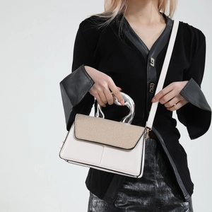 Minimalist color-block leather crossbody bag with artistic silver sculptural handle