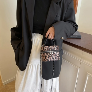 Mini leopard print box bag with silver zippers and elegant chain strap for women