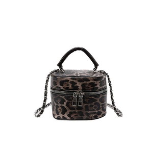 Retro leopard print box bag with silver chain strap and top handle for women