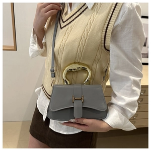 Detailansicht graue Kofferbag mit goldenem Wellengriff und H-Schnalle am Model