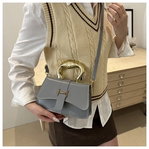 Nahaufnahme der grauen Mini-Handtasche mit goldenem Metallgriff und H-Förmigem Verschluss