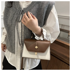 Detail of color-block brown and cream crossbody bag with a gold metal buckle