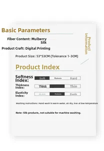 Fiche détaillée du foulard en soie de mûrier 53x53cm montrant les infos et conseils d'entretien