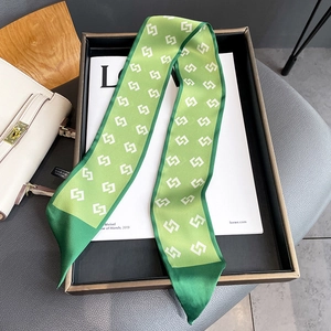 Detail of green geometric silk scarf tied on handbag handle with chain pattern