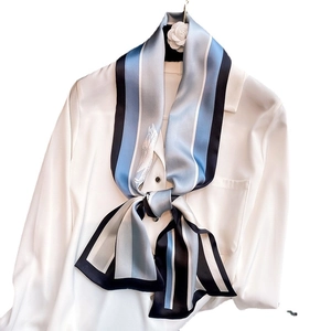 Blue and black striped silk skinny scarf tied on a white shirt in a professional style