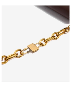 Close-up of premium golden metal chain strap and luxury leather detail on the saddle bag
