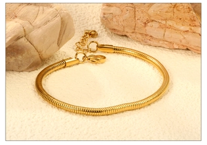 Detail einer goldenen Schlangenkette mit Karabinerverschluss und verstellbarem Glied