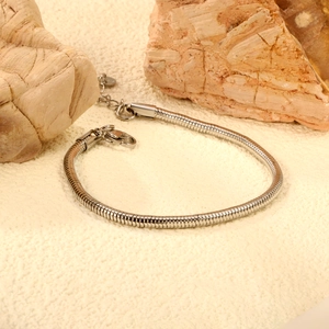 Minimalistisches 18K silbernes Schlangenknochen-Armband aus Edelstahl mit Karabiner
