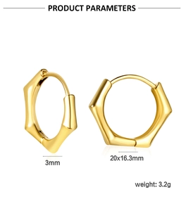 Paramètres de taille détaillés de boucles d'oreilles hexagonales en acier doré 20 mm