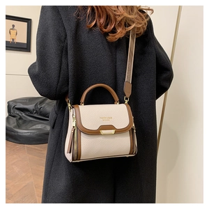 Detail of lychee pattern leather handbag with gold buckle and fashion wide strap