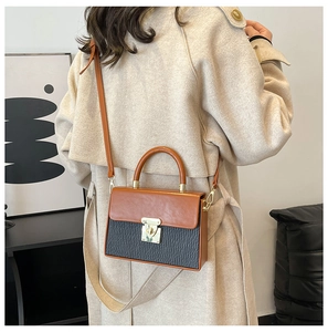 Rear view of a model wearing a contrast color box bag with brown flap and gold lock