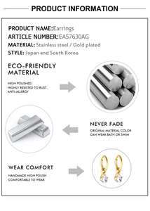 Spécifications des boucles d'oreilles en acier inoxydable plaqué or avec le code produit EA57630AG