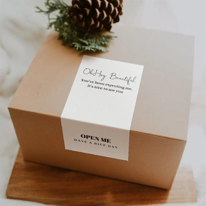 Brown kraft gift box with white decorative seal strip and natural pine cone decoration