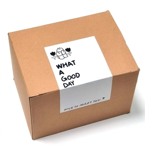 Close-up of kraft gift box with cat illustration sticker and What a Good Day text