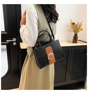 Detail einer zweifarbigen Handtasche mit Krokodilmuster und goldener Hufeisenschnalle