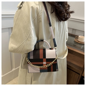 Classic checkered crossbody bag with gold chain strap shown in a lifestyle street setting