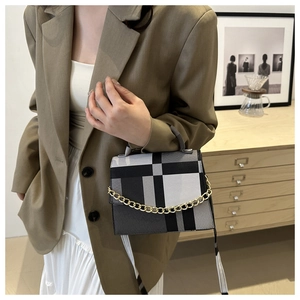 Chic black and white checkered square bag with gold chain shown in a stylish interior