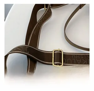 Detail of adjustable brown woven shoulder strap with gold metal buckle and jacquard texture