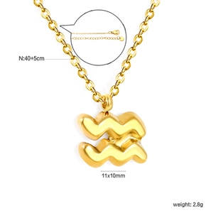 Detailed view of 18k gold stainless steel Aquarius necklace with size and weight specs