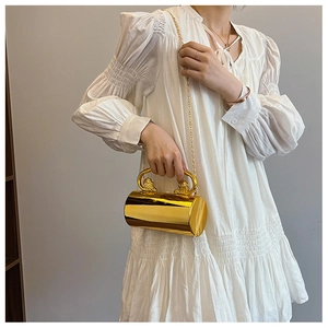 Close-up of golden cylindrical evening bag featuring lion head hardware and chain strap