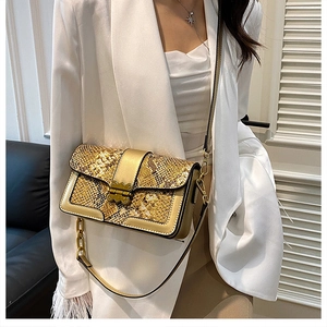 Detail showing snakeskin pattern crossbody bag with gold metal buckle and chain strap