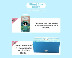 Detail of cute rain doll blind box packaging showing single and whole box sets