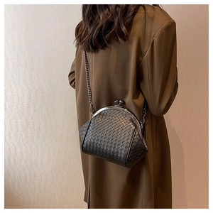 Close-up of woven leather shell bag with vintage metal clasp and chain strap on shoulder