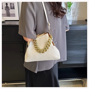 Detail of white woven shell bag featuring gold chain handle and metal frame clasp