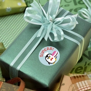 Autocollants pingouin ronds SUPERB sur boîte cadeau verte avec ruban bleu clair