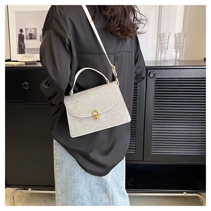 Silver glitter crossbody bag with gold twist lock shown from a back view on a model