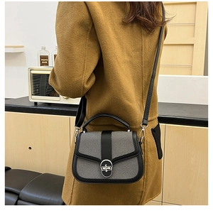 Close-up of a stylish two-tone crossbody bag with silver buckle and leather handle