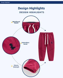 Detail view of pink boys' dinosaur joggers with drawstring waist and embroidered pattern