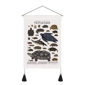 Macro detail of vintage turtle species encyclopedia hanging scroll with wooden rods