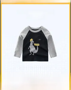 Detail of kids cotton raglan shirt featuring a cute dinosaur print and grey sleeves